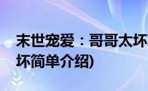 末世宠爱：哥哥太坏(对于末世宠爱：哥哥太坏简单介绍)