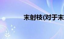 末射枝(对于末射枝简单介绍)