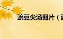 豌豆尖汤图片（豌豆尖汤的做法）