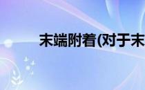 末端附着(对于末端附着简单介绍)
