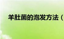 羊肚菌的泡发方法（煮羊肚的正确方法）