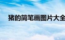 猪的简笔画图片大全（猪的简笔画步骤）