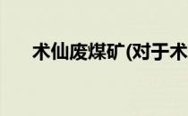 术仙废煤矿(对于术仙废煤矿简单介绍)