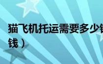 猫飞机托运需要多少钱（飞机托运一只猫多少钱）