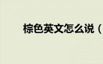 棕色英文怎么说（棕色英文怎么读）