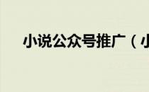 小说公众号推广（小说公众号xysg51）