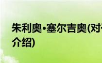 朱利奥·塞尔吉奥(对于朱利奥·塞尔吉奥简单介绍)