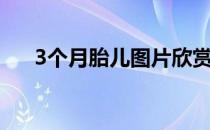 3个月胎儿图片欣赏（3个月胎儿图片）