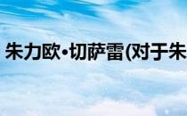 朱力欧·切萨雷(对于朱力欧·切萨雷简单介绍)