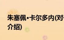 朱塞佩·卡尔多内(对于朱塞佩·卡尔多内简单介绍)