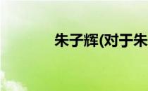 朱子辉(对于朱子辉简单介绍)