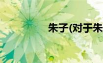 朱子(对于朱子简单介绍)