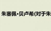 朱塞佩·贝卢希(对于朱塞佩·贝卢希简单介绍)