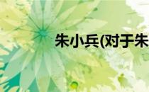 朱小兵(对于朱小兵简单介绍)