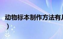 动物标本制作方法有几种（动物标本制作方法）