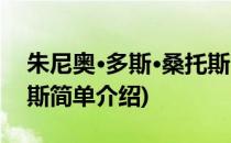 朱尼奥·多斯·桑托斯(对于朱尼奥·多斯·桑托斯简单介绍)