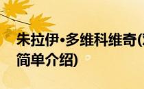 朱拉伊·多维科维奇(对于朱拉伊·多维科维奇简单介绍)