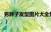 男胖子发型图片大全集（男胖子发型图片大全）