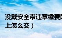 没戴安全带违章缴费网上怎么交（违章缴费网上怎么交）