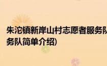 朱沱镇新岸山村志愿者服务队(对于朱沱镇新岸山村志愿者服务队简单介绍)