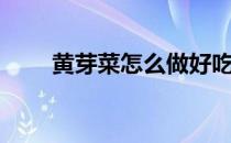 黄芽菜怎么做好吃（黄芽菜的做法）