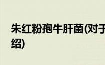 朱红粉孢牛肝菌(对于朱红粉孢牛肝菌简单介绍)