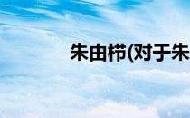 朱由栉(对于朱由栉简单介绍)