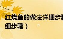 红烧鱼的做法详细步骤视频（红烧鱼的做法详细步骤）