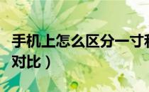 手机上怎么区分一寸和二寸（一寸和两寸照片对比）