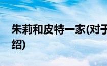 朱莉和皮特一家(对于朱莉和皮特一家简单介绍)