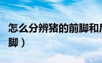 怎么分辨猪的前脚和后脚（怎么区分猪的前后脚）