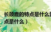长颈鹿的特点是什么爱好是什么（长颈鹿的特点是什么）