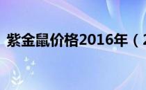紫金鼠价格2016年（20年紫金鼠包浆图片）