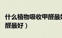 什么植物吸收甲醛最好最快（什么植物吸收甲醛最好）