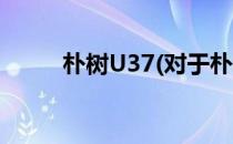 朴树U37(对于朴树U37简单介绍)
