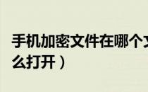 手机加密文件在哪个文件夹（手机加密文件怎么打开）