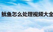 鱿鱼怎么处理视频大全（鱿鱼怎么处理视频）