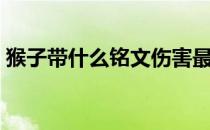 猴子带什么铭文伤害最高（猴子带什么铭文）