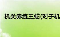 机关赤练王蛇(对于机关赤练王蛇简单介绍)