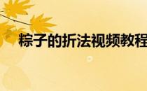粽子的折法视频教程（粽子的折法视频）