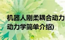 机器人刚柔耦合动力学(对于机器人刚柔耦合动力学简单介绍)