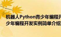 机器人Python青少年编程开发实例(对于机器人Python青少年编程开发实例简单介绍)