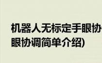 机器人无标定手眼协调(对于机器人无标定手眼协调简单介绍)