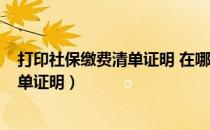 打印社保缴费清单证明 在哪可以办理啊?（打印社保缴费清单证明）