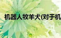 机器人牧羊犬(对于机器人牧羊犬简单介绍)