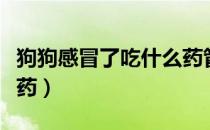 狗狗感冒了吃什么药管用（狗狗感冒了吃什么药）