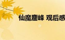 仙魔鏖峰 观后感 38（仙魔鏖峰）