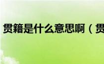 贯籍是什么意思啊（贯籍是什么意思怎么填）