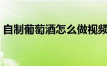 自制葡萄酒怎么做视频（自制葡萄酒怎么做）