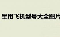 军用飞机型号大全图片（军用飞机型号大全）
